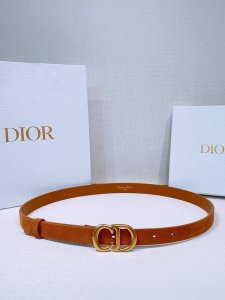迪家 Ceinture Saddle Cuir De Veau SuéDé Couleur Light Gold, 20 Mm 这款带有陈年金色金属Cd扣的模型