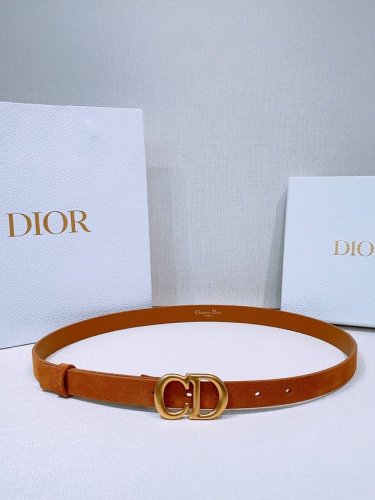 迪家 Ceinture Saddle Cuir De Veau SuéDé Couleur Light Gold, 20 Mm 这款带有陈年金色金属Cd扣的模型
