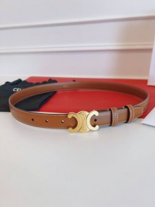 特 P160 最新版本棕色 原单 尺寸2.5Cm宽，全新钢扣。