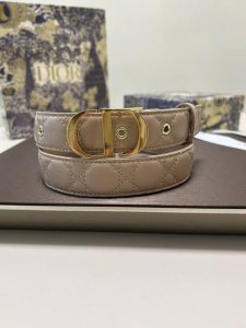 特P200 迪奥30 Montaigne Avenue 腰带从同名手袋汲取灵感，是二零二三年秋季新品。采用黑色光滑 牛皮革精心制作，质感柔软，设计优雅，饰以富有