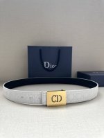 宽度3.5Cm 这款 Dior Charm 腰带扣是夏季男装系列新品，采用不锈钢真空电镀饰面黄铜精心设计，重新演绎经典的 Dior 标志。可与各式 35 毫米腰