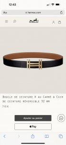 特 H Au Carre 五金搭配Togo皮带身 32Mm 金棕
