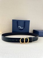 Dior 这款金属覆层黄铜腰带扣是二零二四春季系列新品，展示 Cd Icon 标志和 Oblique Cosmo 图案，致敬 Dior 的经典图案。可与各式 3