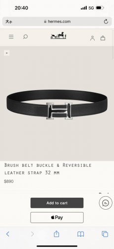特 Brush Belt Buckle & Reversible Leather Strap 27Mm