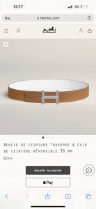 特P200 Hermes Traverse Belt Buckle & Reversible Leather Strap 40Mm