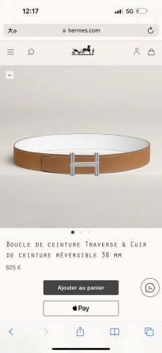 特P200 Hermes Traverse Belt Buckle & Reversible Leather Strap 40Mm