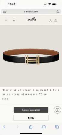 特 H Au Carre 五金搭配Togo皮带身 32Mm 金棕 - 点击图像关闭