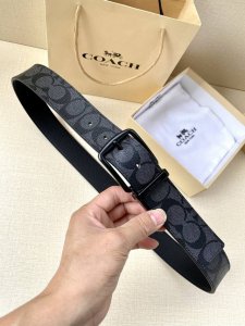 宽度3.8Cm Coach 这款双面腰带一面为经典标志帆布材质，另一面为精制皮革材质，配有标志性扣件，将两种外形合二为一。通过简单的说明，可用剪刀剪裁至完美合身