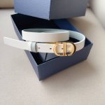 特 Montaigne *Cd*腰带 饰有*Christian Dior*标志 富有光泽的金色饰面金属细节 两个可拆卸环 小牛皮腰带 2.0Cm