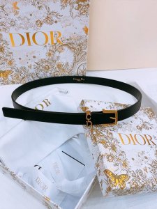 迪家马鞍 Loop腰带 这款马鞍Loop腰带是2025秋季系列全新单品，致敬品牌经典同名手袋，采用光滑牛皮革等材质精心制作，搭配Cd针扣哦，饰以Cd标志腰带环提