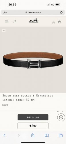 特 Brush Belt Buckle & Reversible Leather Strap 27Mm