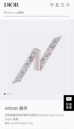 Christian Dior 标志提花条形图案 飘带 可与各种时尚造型搭配，无论系在颈部、手腕或手袋上，都是理想的点睛之笔，可与其他 Butterfly Aro - 点击图像关闭