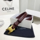 Celin E新品立体浮标扣女士腰带 意大利进口小牛皮 搭铜扣 宽度2.5