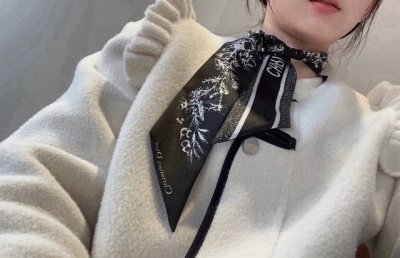 迪奥Dior最新双层束发带。真心的越看越好看而且多Way用法，随便怎么搭配都好有腔调.超级柔软6105顶级进口双层真丝小飘带