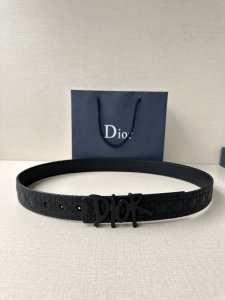 特 宽度3.5Cm Dior 这款不锈钢金属腰带扣是春季系列新品，展示 Cd Icon 标志和 Oblique Cosmo 图案，致敬 Dior 的经典图案。可