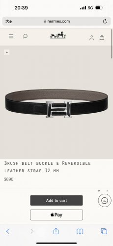 特 Brush Belt Buckle & Reversible Leather Strap 27Mm