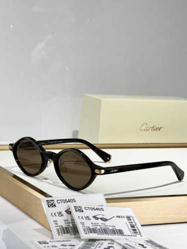 Ss25 Cartiertop Qualityphoto Chromicmod：Ct0540Ssize：49□22-145Photo Chromic变色0810