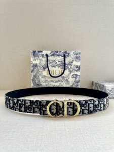 特 宽度3.5 Cm Dior 迪奥两面腰带款式迷人多样，采用多种材质精心打造，为各式廓形增添点睛之笔，彰显优雅醒目的气质。向迪奥钟爱的细节艺术致敬，彰显非凡的