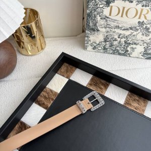 这款 Dior Cannage 腰带是二零二六早春成衣系列新品，重新诠释Dior 经典标识。采用光滑牛皮革等材质精心制作，饰以银色饰面金属腰带扣，饰环点缀以精心