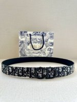 特 宽度3.5 Cm Dior 迪奥两面腰带款式迷人多样，采用多种材质精心打造，为各式廓形增添点睛之笔，彰显优雅醒目的气质。向迪奥钟爱的细节艺术致敬，彰显非凡的