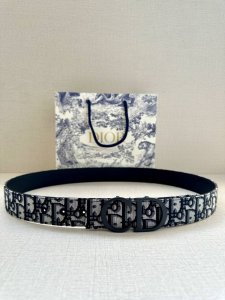 特 宽度3.5 Cm Dior 迪奥两面腰带款式迷人多样，采用多种材质精心打造，为各式廓形增添点睛之笔，彰显优雅醒目的气质。向迪奥钟爱的细节艺术致敬，彰显非凡的